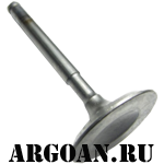     Argo Conquest